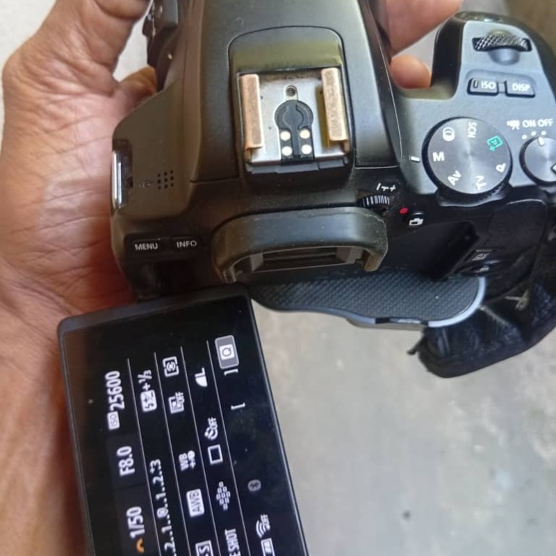 Canon EOS 250D - Image 2