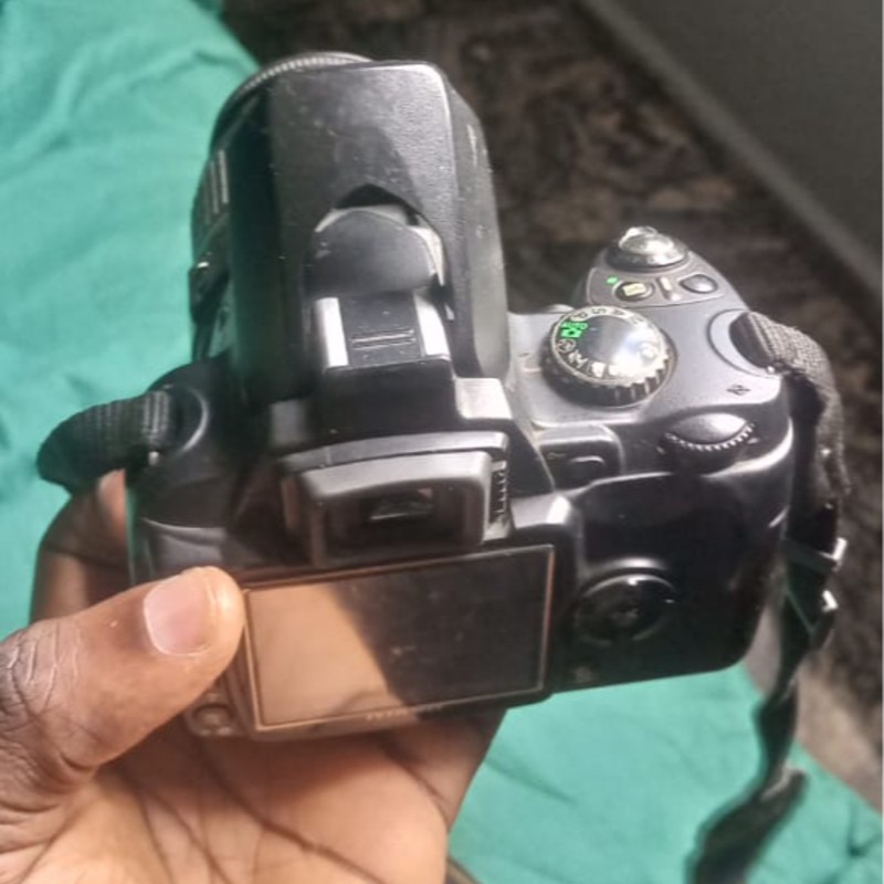Nikon D40