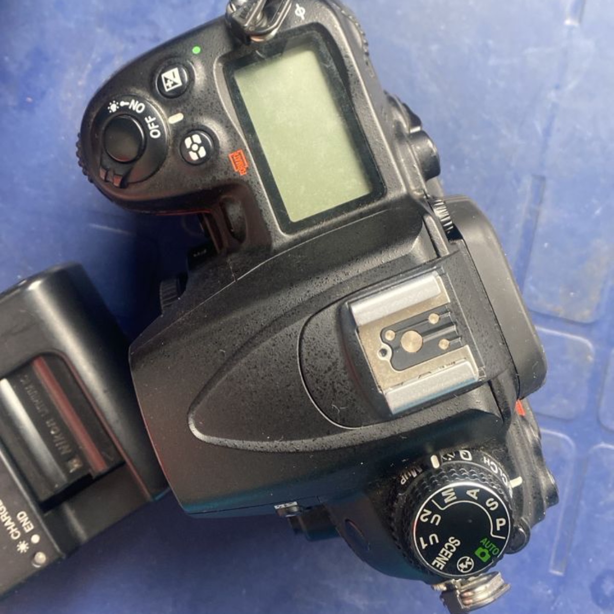Nikon D7000