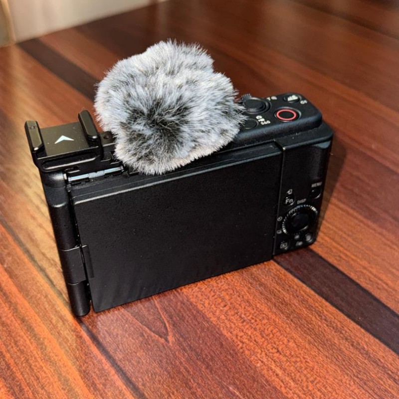 Sony ZVIF