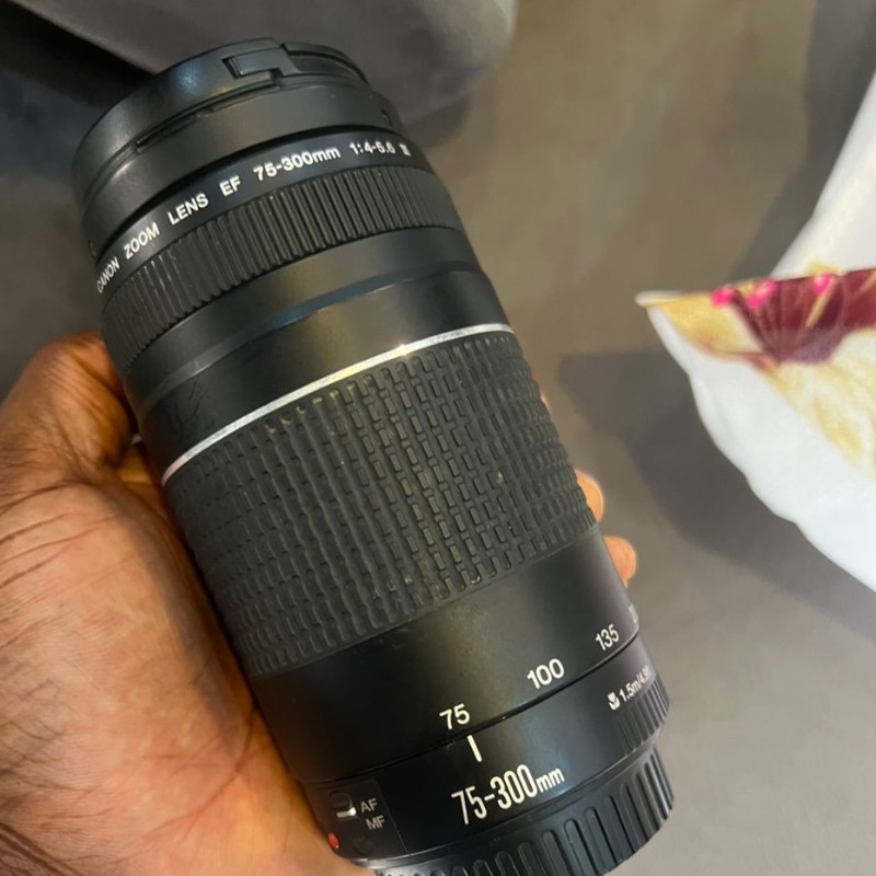 Canon EF 75-300mm f/4-5.6 III